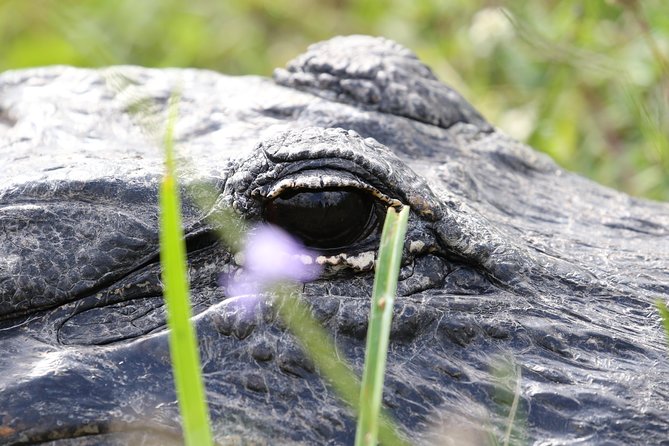 Full-Day Kayak Adventure in the Everglades - Slogging through a cypress dome