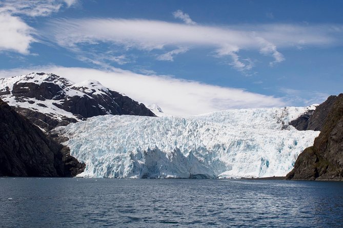 Full-Day Kenai Fjords National Park Cruise - What this Seward cruise actually delivers