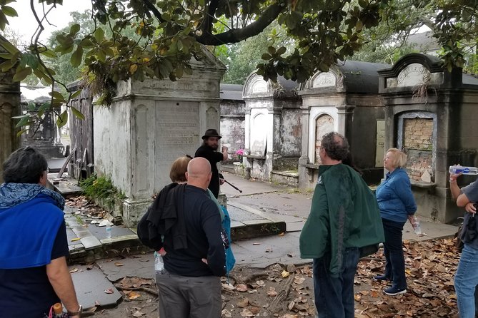 Garden District Home and History Walking Tour - Walking beneath the Garden District’s old trees