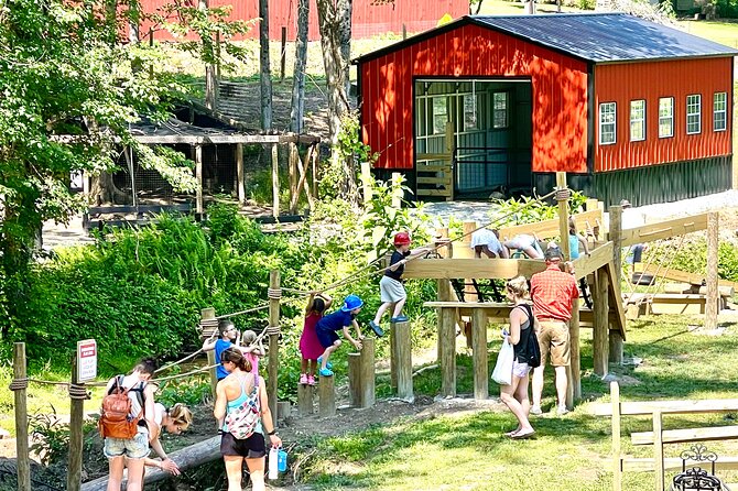 Gem Mining and Goat Farm Walking Tour in Hendersonville - Who should book this experience