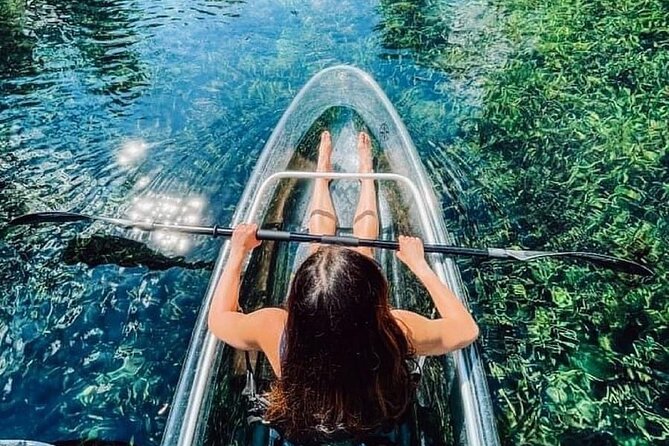 Glass Bottom Kayak Tours of Silver Springs - Wildlife sightings, from manatees to monkeys