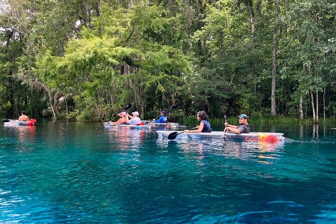 Glass Bottom Kayak Tours of Silver Springs - What the guides add to the experience