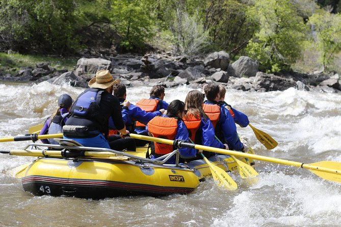 Glenwood Springs Half-Day Rafting Trip - Family appeal, age rules, and comfort level