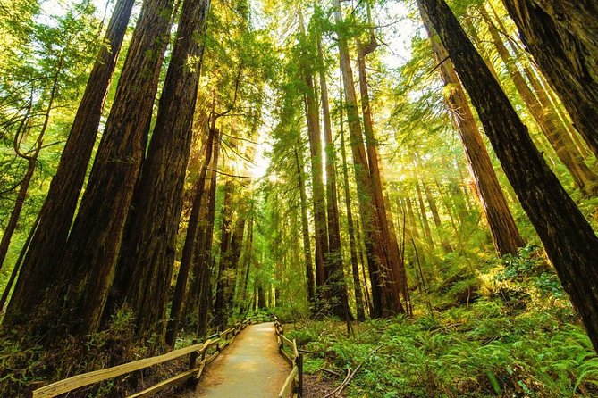 Golden Gate Bridge Muir Woods Sausalito with Optional Alcatraz - Why this six-hour route works