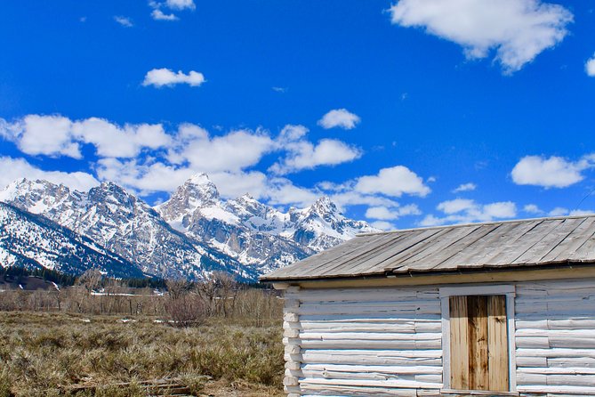 Grand Teton Half Day Tour - Moose Wilson Road and the Elk Refuge