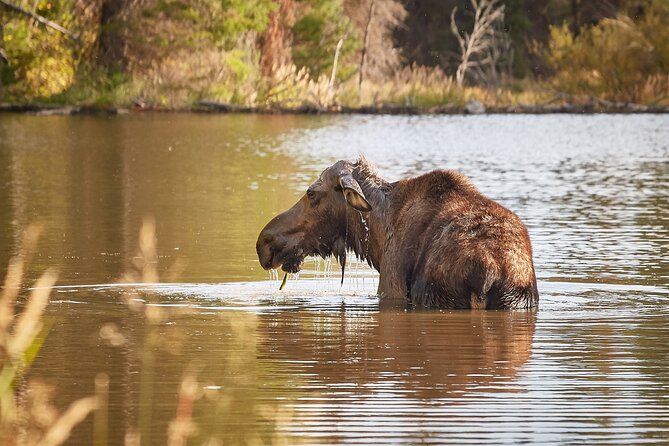 Grand Teton Half Day Tour - Is $149 a fair price?