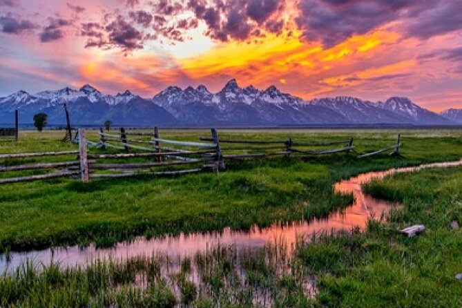 Grand Teton Wildlife Safari in a Enclosed or Open-Air Vehicle (season dependent) - Key details to know before you book