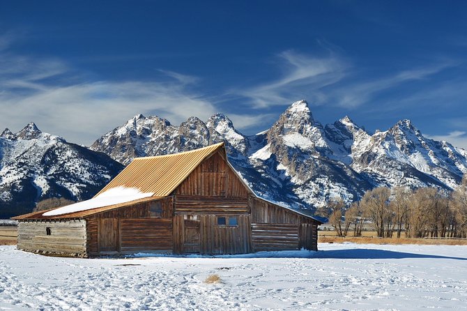 Grand Teton Wildlife Safari in a Enclosed or Open-Air Vehicle (season dependent) - The wildlife search: what you might see