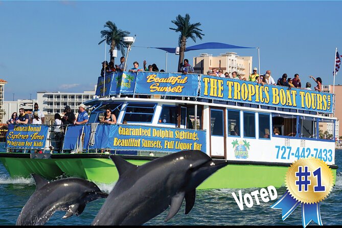 Guaranteed Dolphin Sighting Tour on Tropics Boat Tours - Who will enjoy this most?