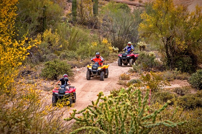 Guided Arizona Desert Tour by ATV - Centipede Tour - Key points to know before you ride