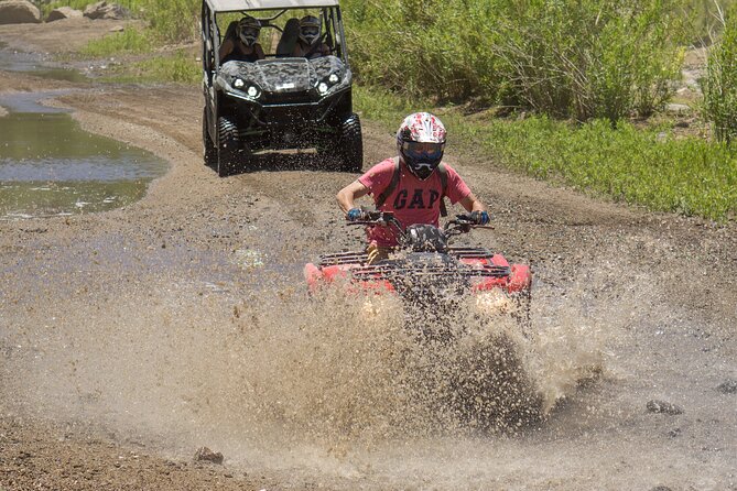 Guided Arizona Desert Tour by ATV - Centipede Tour - Who will enjoy this ride most?