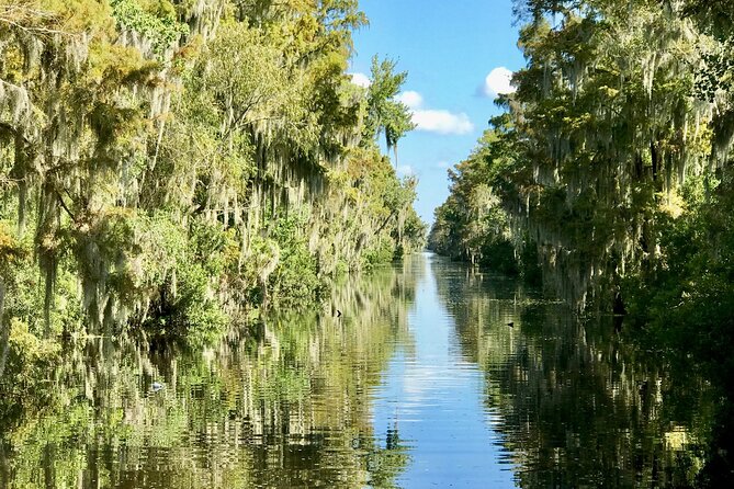 Guided Boat Tour of New Orleans Bayou - Who Will Enjoy This Bayou Tour