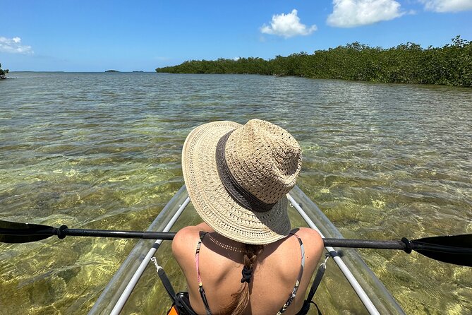 Guided Clear Kayak Eco-Tour Near Key West - Key points to know before booking