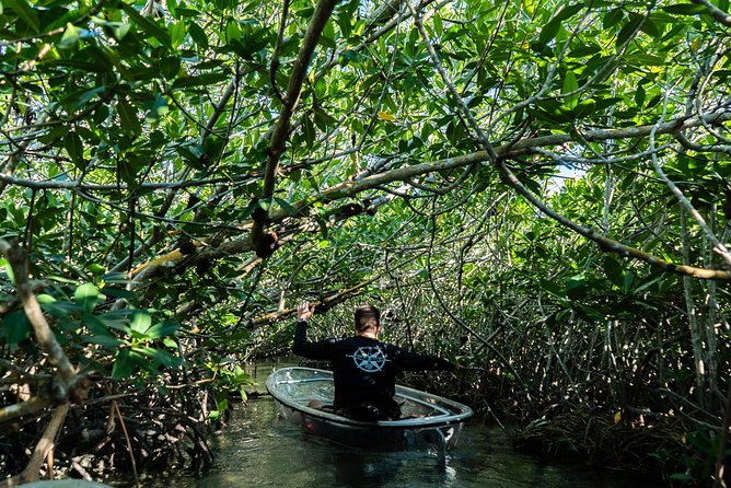 Guided Clear Kayak Eco-Tour Near Key West - What the clear kayak really adds