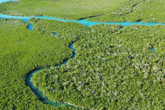 Guided Clear Kayak Eco-Tour Near Key West - The guides make the difference