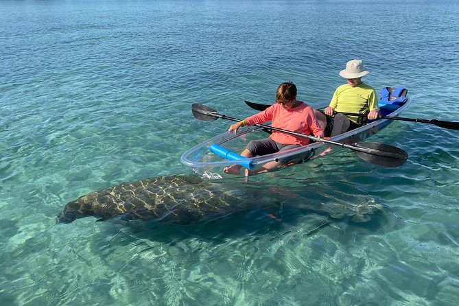 Guided Clear Kayak Eco-Tour of Jupiter - Key points about the Jupiter clear kayak tour