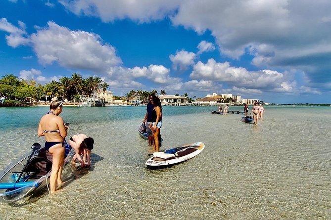 Guided Clear Kayak Eco-Tour of Jupiter - Why the clear kayak changes the experience