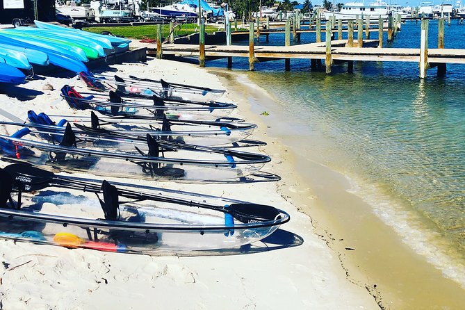 Guided Clear Kayak Eco-Tour of Jupiter - Who will enjoy this paddle most