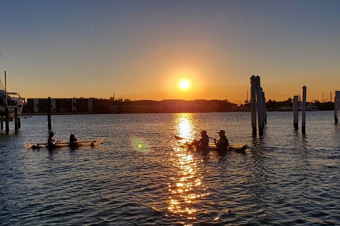 Guided Clear Kayak Eco-Tour of Jupiter - What the $89 price is buying