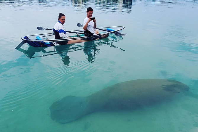 Guided Clear Kayak Eco-Tour of Jupiter - Meeting beside Jupiter Lighthouse