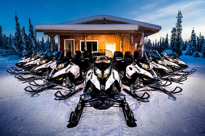 Guided Fairbanks Snowmobile Tour - What $169 buys you