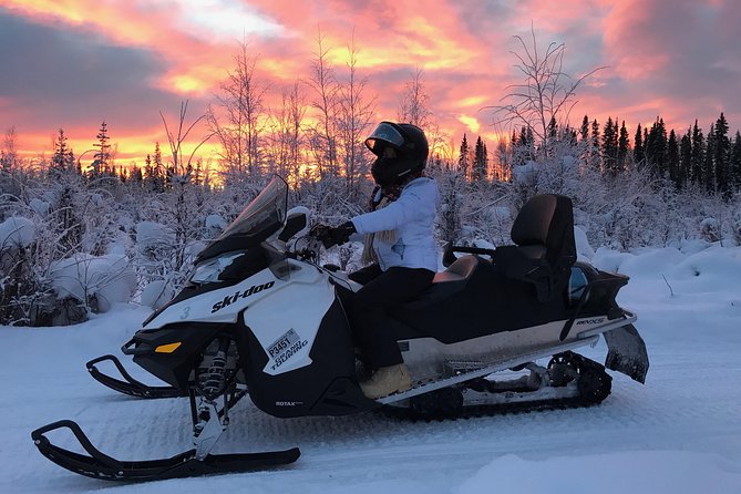 Guided Fairbanks Snowmobile Tour - Who should book this ride
