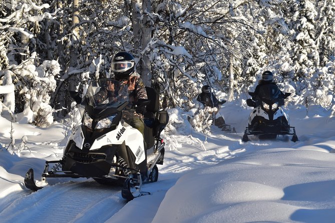 Guided Fairbanks Snowmobile Tour - Should you book the Rod’s snowmobile tour?