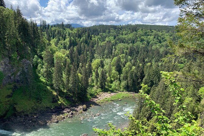 Guided forest hike to Seattle waterfalls incl. Snoqualmie Falls - Who should book this half-day trip?