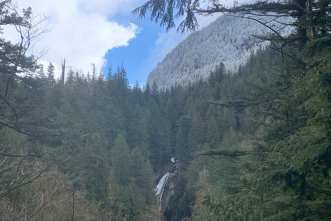 Guided forest hike to Seattle waterfalls incl. Snoqualmie Falls - Weather, cancellations, and timing