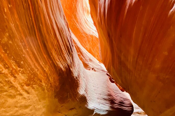 Guided Hike through Peek-a-Boo Slot Canyon (Small Group) - A gentle route into Utah sandstone