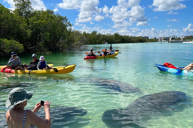 Guided Island EcoTour: CLEAR/Standard Kayak, SUP - Bonita Springs - Key points to know before you paddle