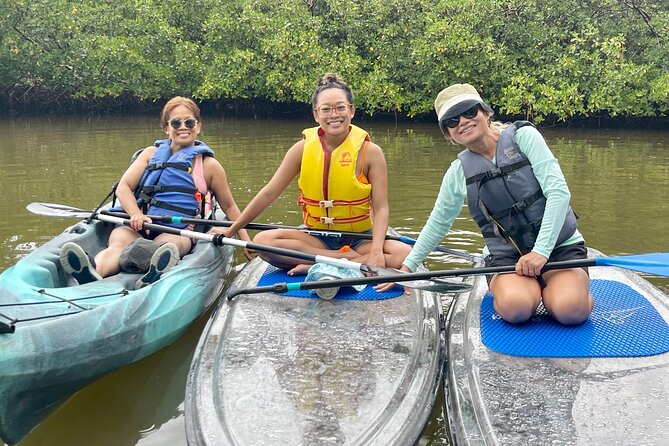 Guided Island EcoTour: CLEAR/Standard Kayak, SUP - Bonita Springs - What the 2.5-hour Big Hickory Island trip is really like