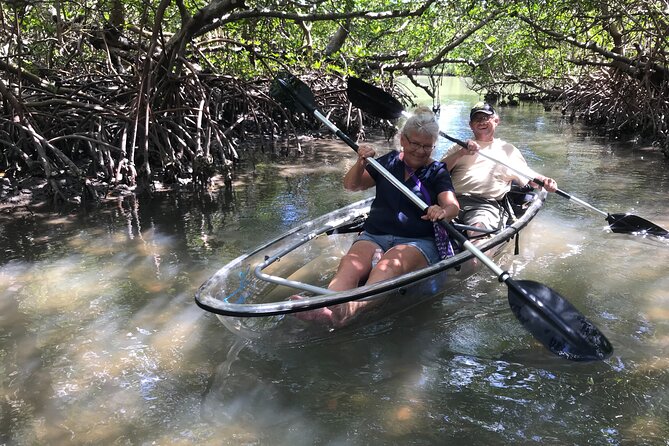 Guided Island EcoTour: CLEAR/Standard Kayak, SUP - Bonita Springs - Dolphins, manatees, birds, and the limits of wildlife watching