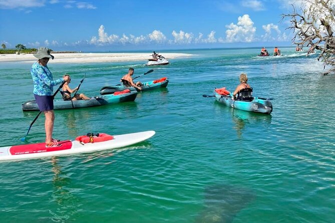 Guided Island EcoTour: CLEAR/Standard Kayak, SUP - Bonita Springs - How hard is the paddling?