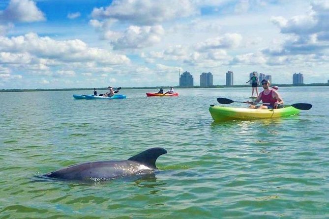 Guided Island EcoTour: CLEAR/Standard Kayak, SUP - Bonita Springs - Is $50 a person a fair price?