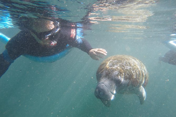 Guided Small Group Manatee Snorkeling Tour with In-Water Photographer - Key points to know before you book