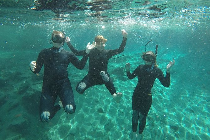 Guided Small Group Manatee Snorkeling Tour with In-Water Photographer - Why the six-person boat matters on Crystal River