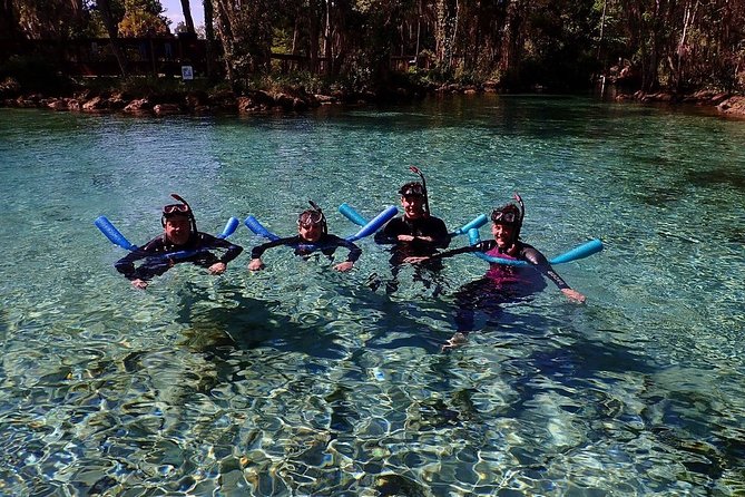 Guided Small Group Manatee Snorkeling Tour with In-Water Photographer - The short briefing that sets the tone