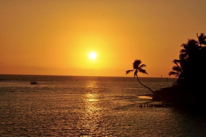 Gulf of Mexico Sunset Cruise from Naples - Quick points to know