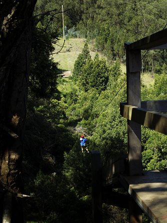 Haleakala 6 Line Zipline Adventure - Guides who make nervous beginners feel at ease