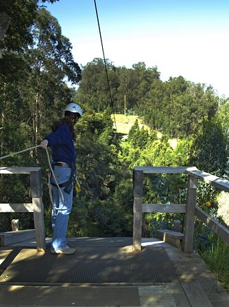 Haleakala 6 Line Zipline Adventure - What the nature and history talks add