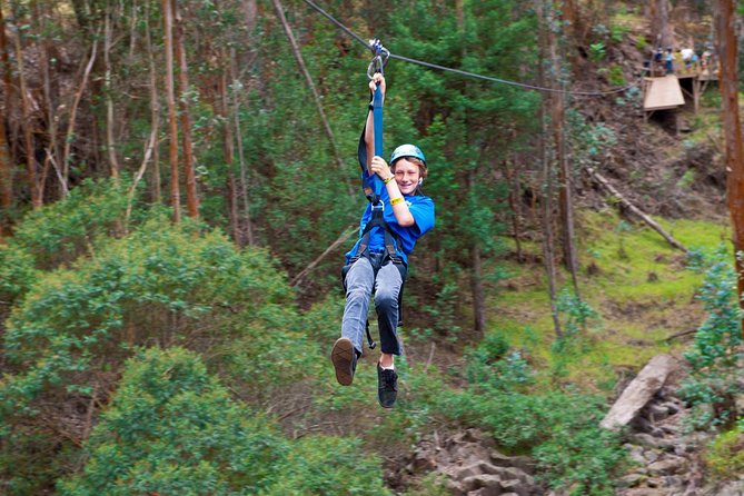 Haleakala 6 Line Zipline Adventure - The wooden bridges and the walk between rides