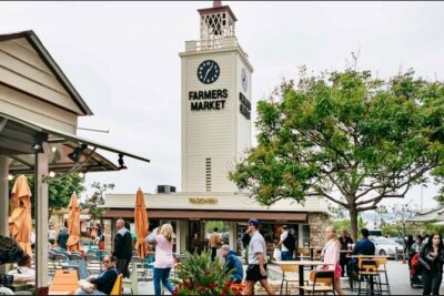 Half Day Best of Los Angeles Guided City Tour