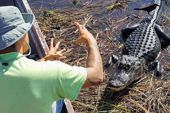 Half-day Everglades National Park Tour and 1-Hour Air Boat Ride - Stop one: a nature walk in Everglades National Park
