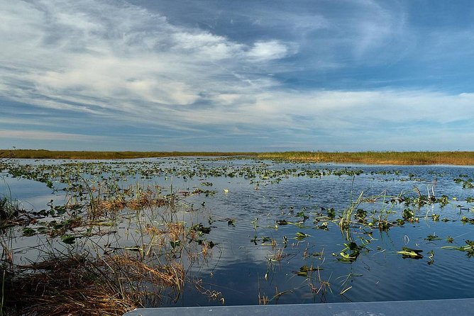 Half-day Everglades National Park Tour and 1-Hour Air Boat Ride - Stop two: one hour on a smaller Everglades airboat