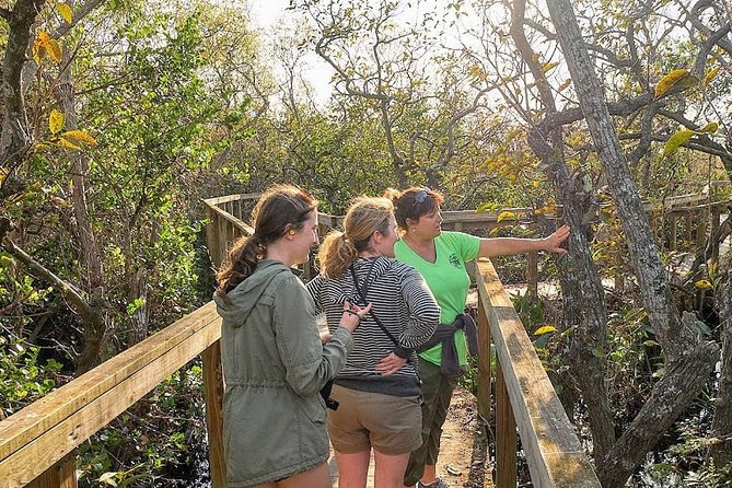 Half-day Everglades National Park Tour and 1-Hour Air Boat Ride - Guides are the heart of the day