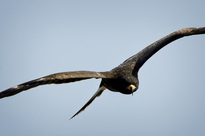 Half-day Everglades National Park Tour and 1-Hour Air Boat Ride - Is $189 a fair price?