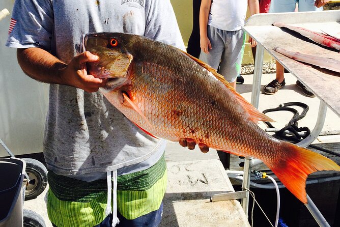 Half-Day Fishing Trip in Fort Lauderdale - Who will enjoy this most