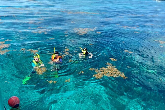 Half Day Snorkel Trip on Reefs in the Florida Keys - Florida Keys National Marine Sanctuary: your first look at the reef