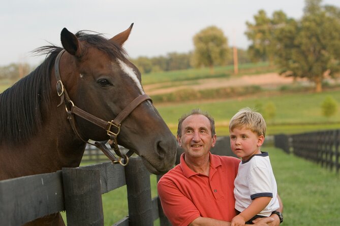 Half-Day Thoroughbred Horse Farm Tour in Kentucky - Riding through Kentucky’s Bluegrass horse country
